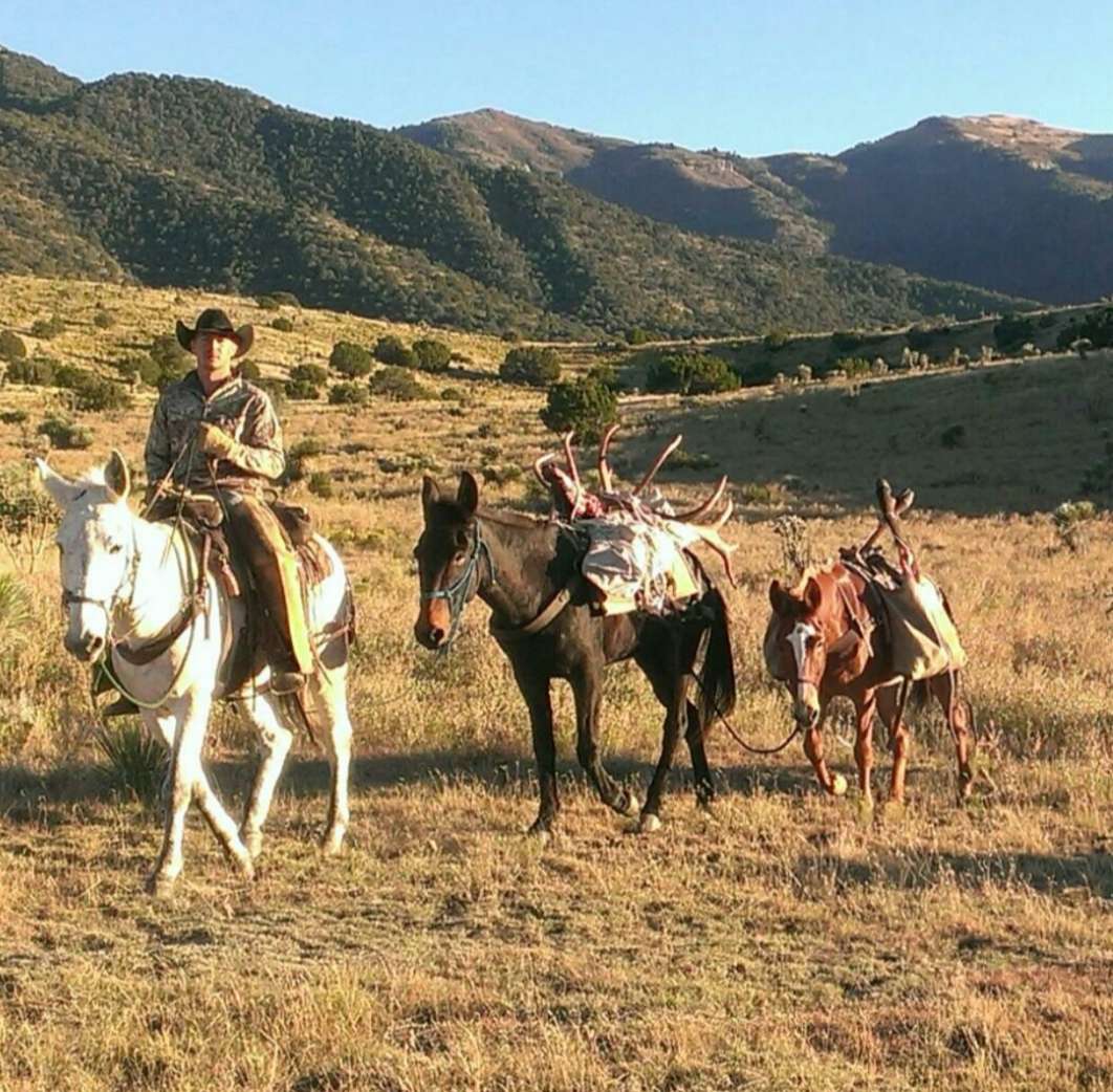 NM Outfitter NM Outfitter