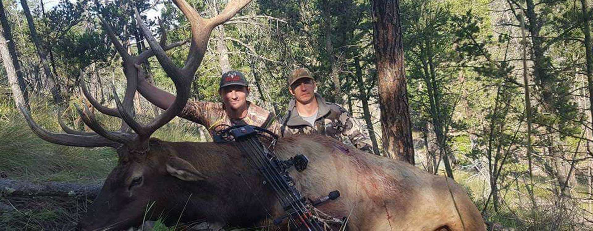 K9 Country Outfitters Testimonials K9 Country Outfitters Testimonials